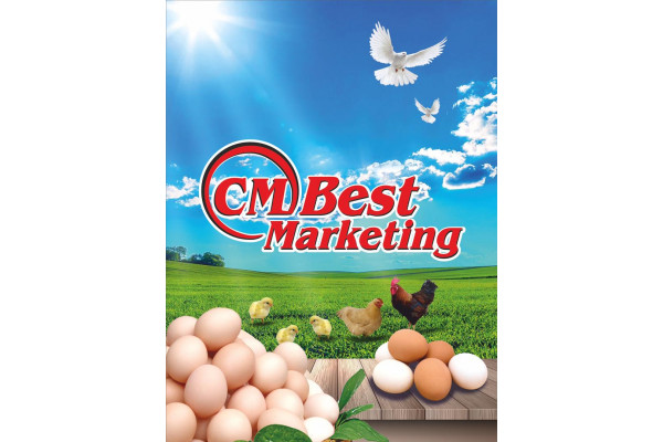 CM Best Marketing
